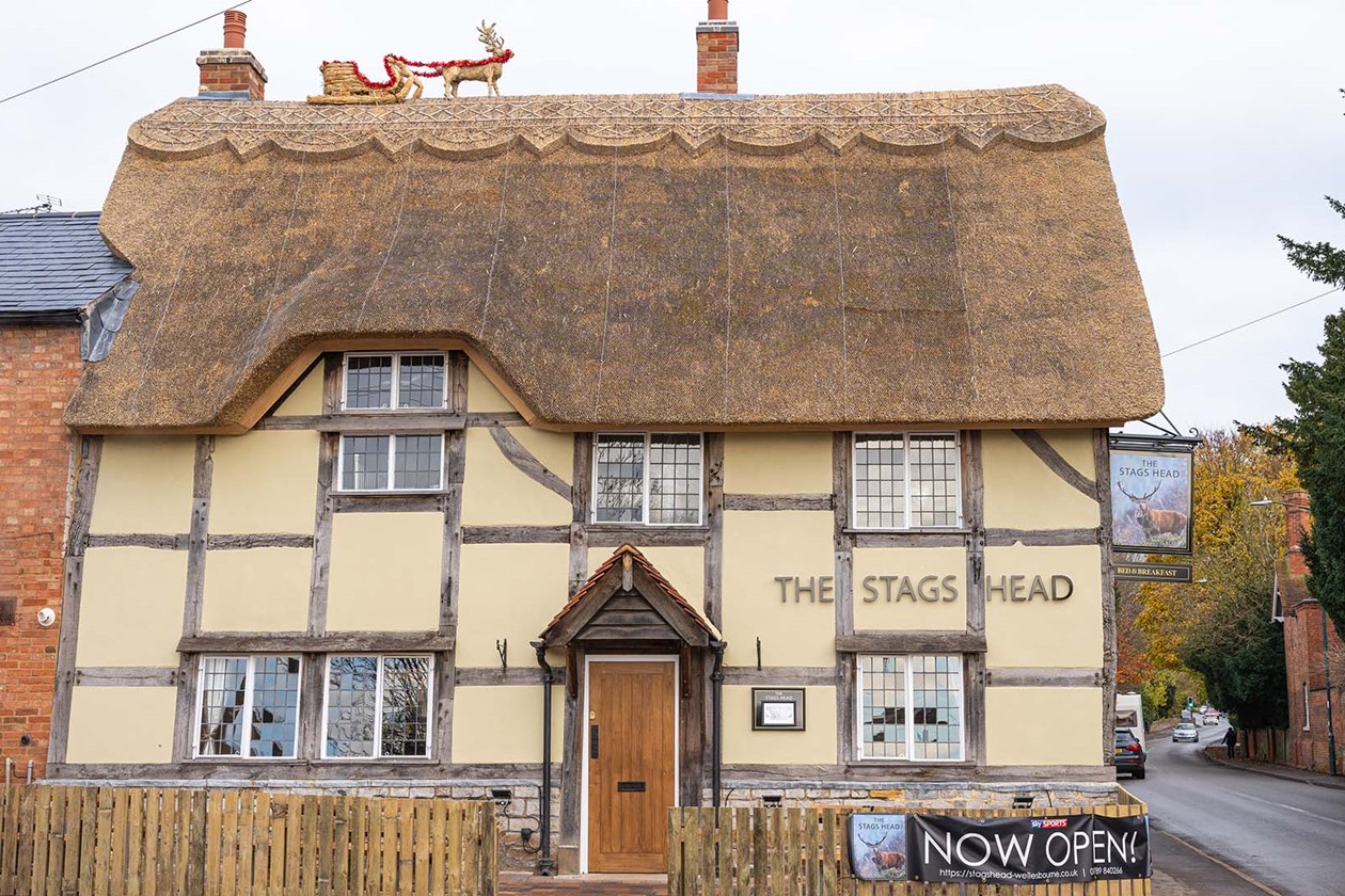 stags head before and after photos