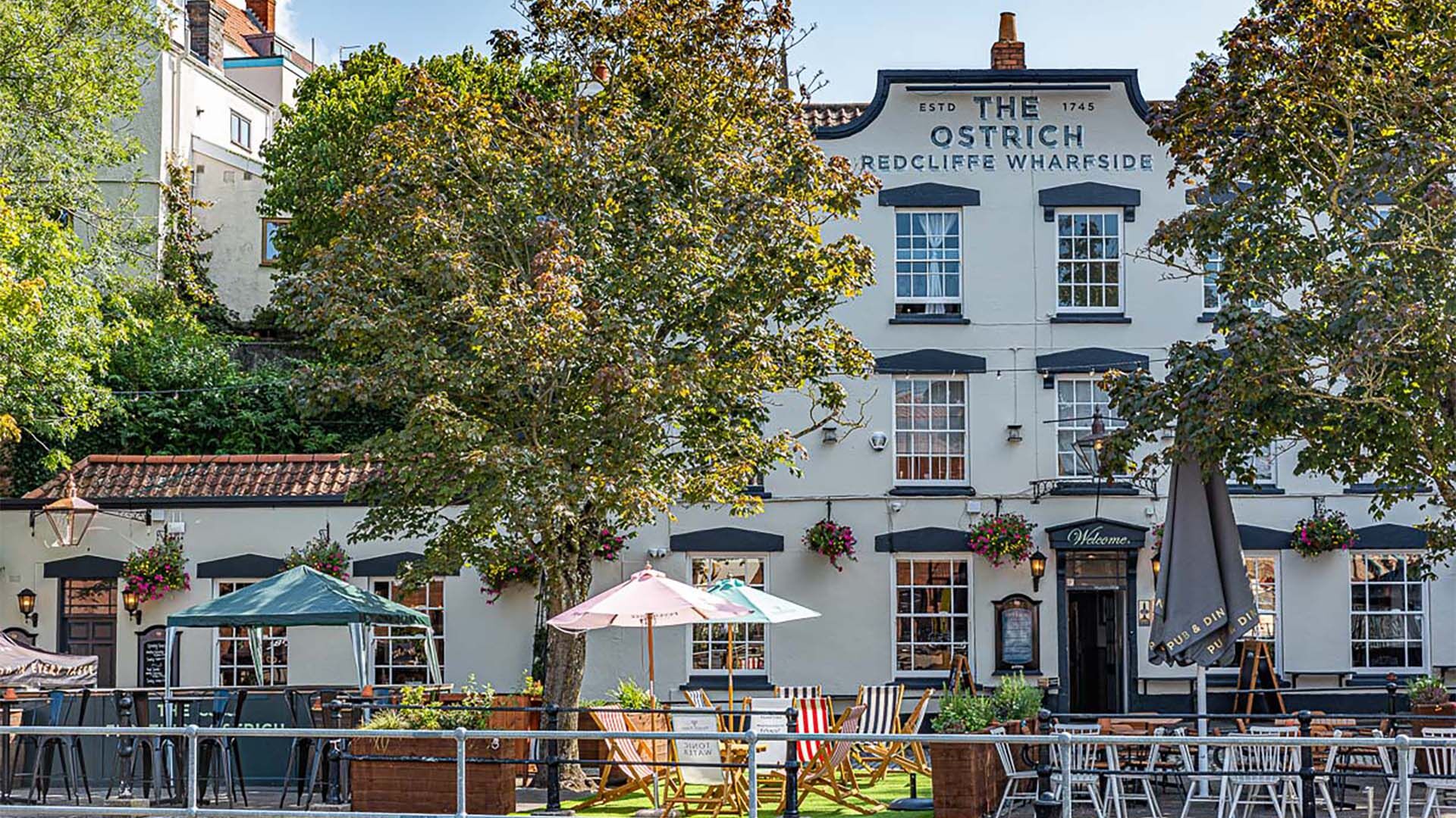 The Ostrich before and after