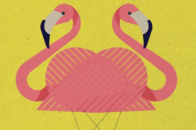 Methuen Arms artwork designed by Concorde BGW group of two flamingos back to back
