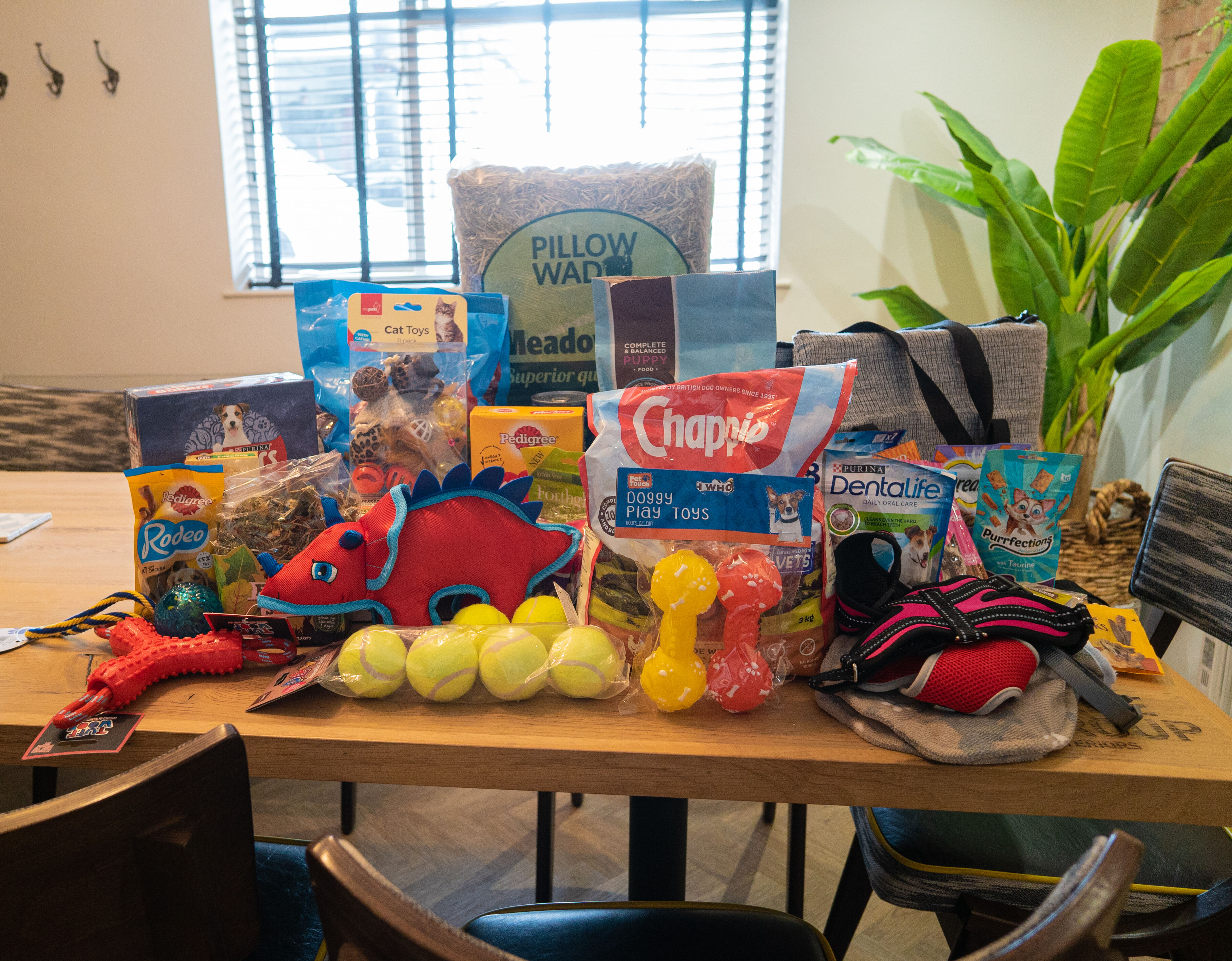 Pet toys displayed on a table