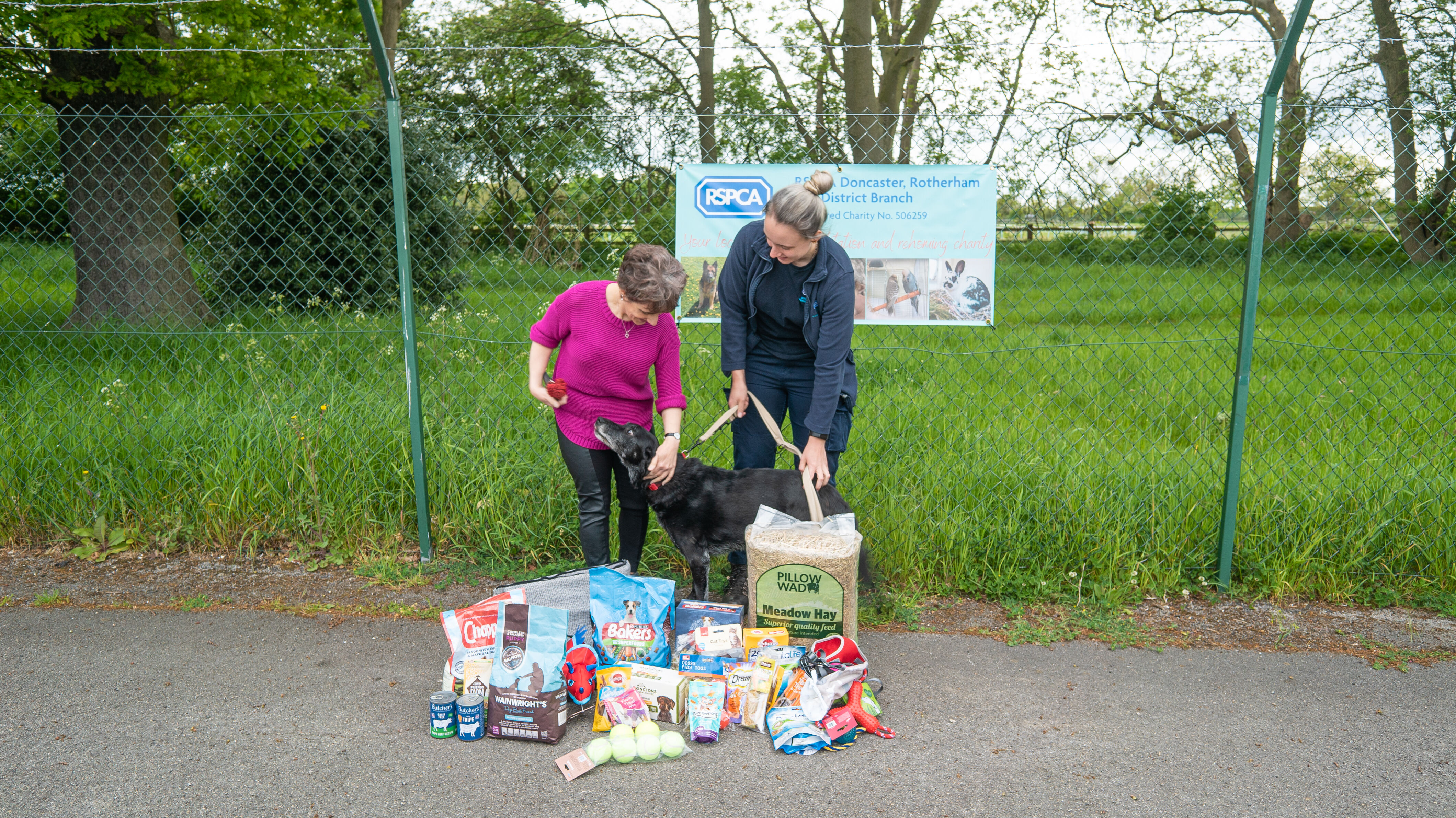 stroking a dog at the rspca