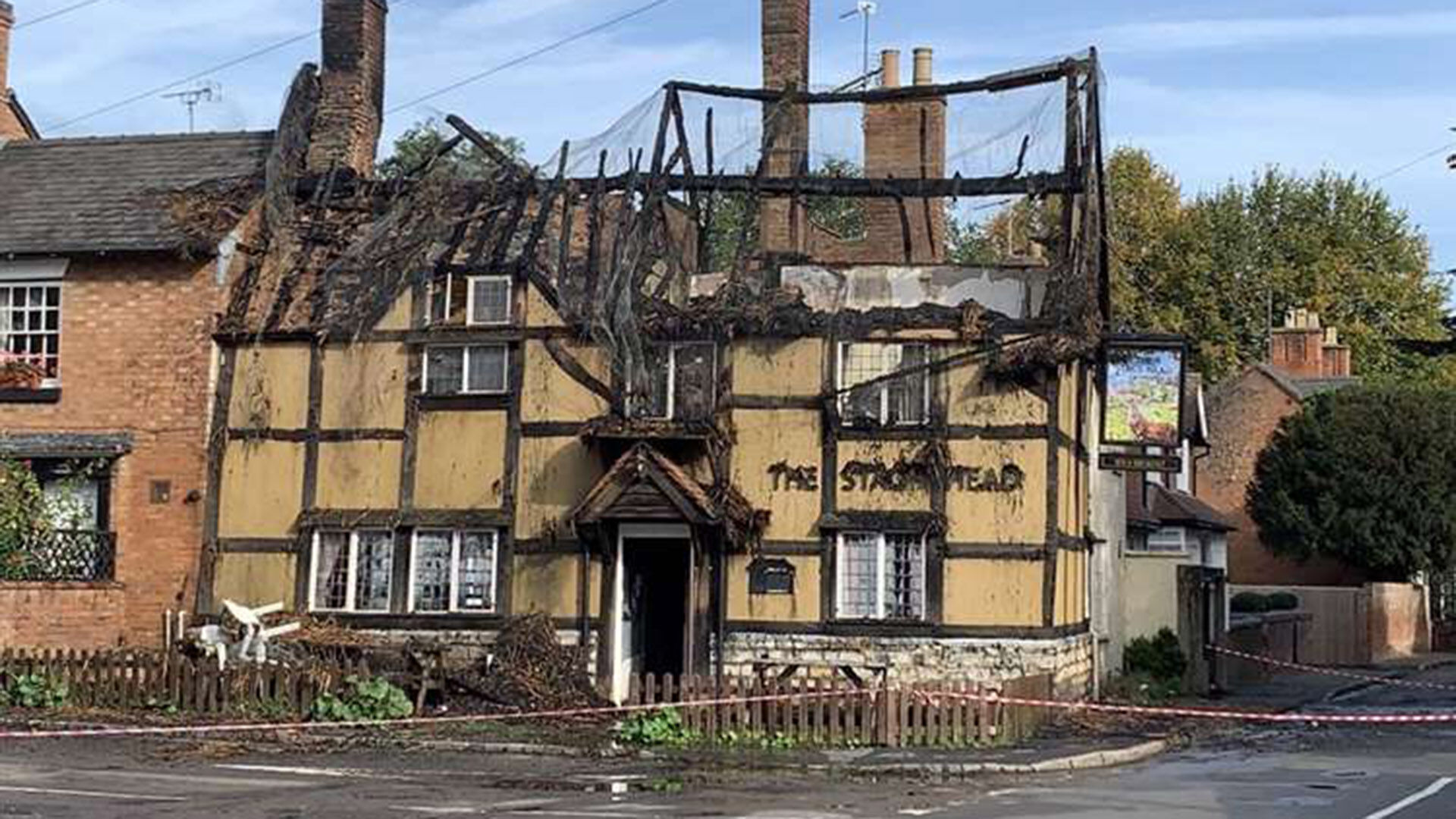 stags head before and after photos