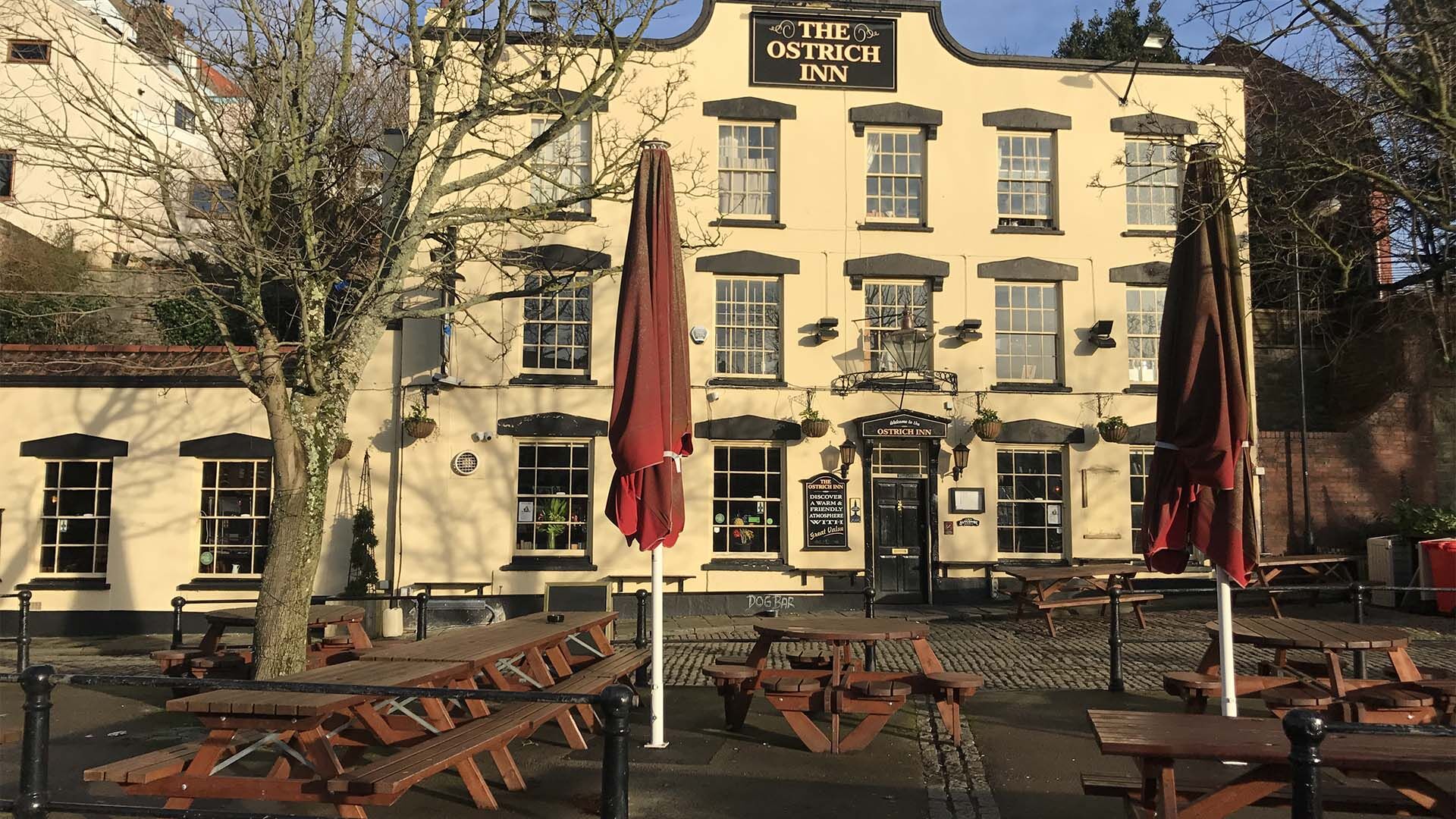 The Ostrich before and after